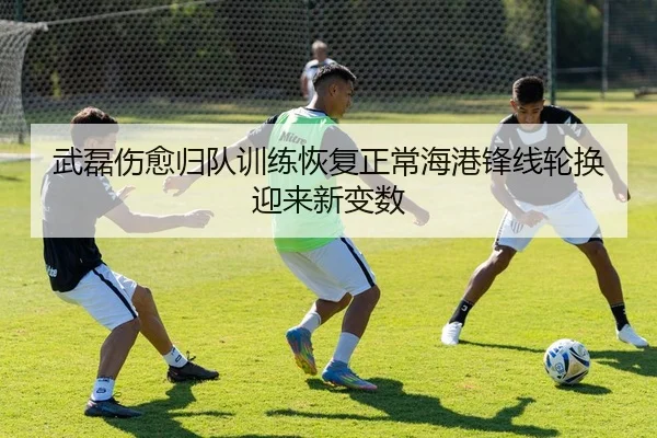 武磊伤愈归队训练恢复正常海港锋线轮换迎来新变数